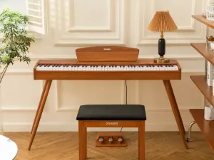 Donner DDP-80